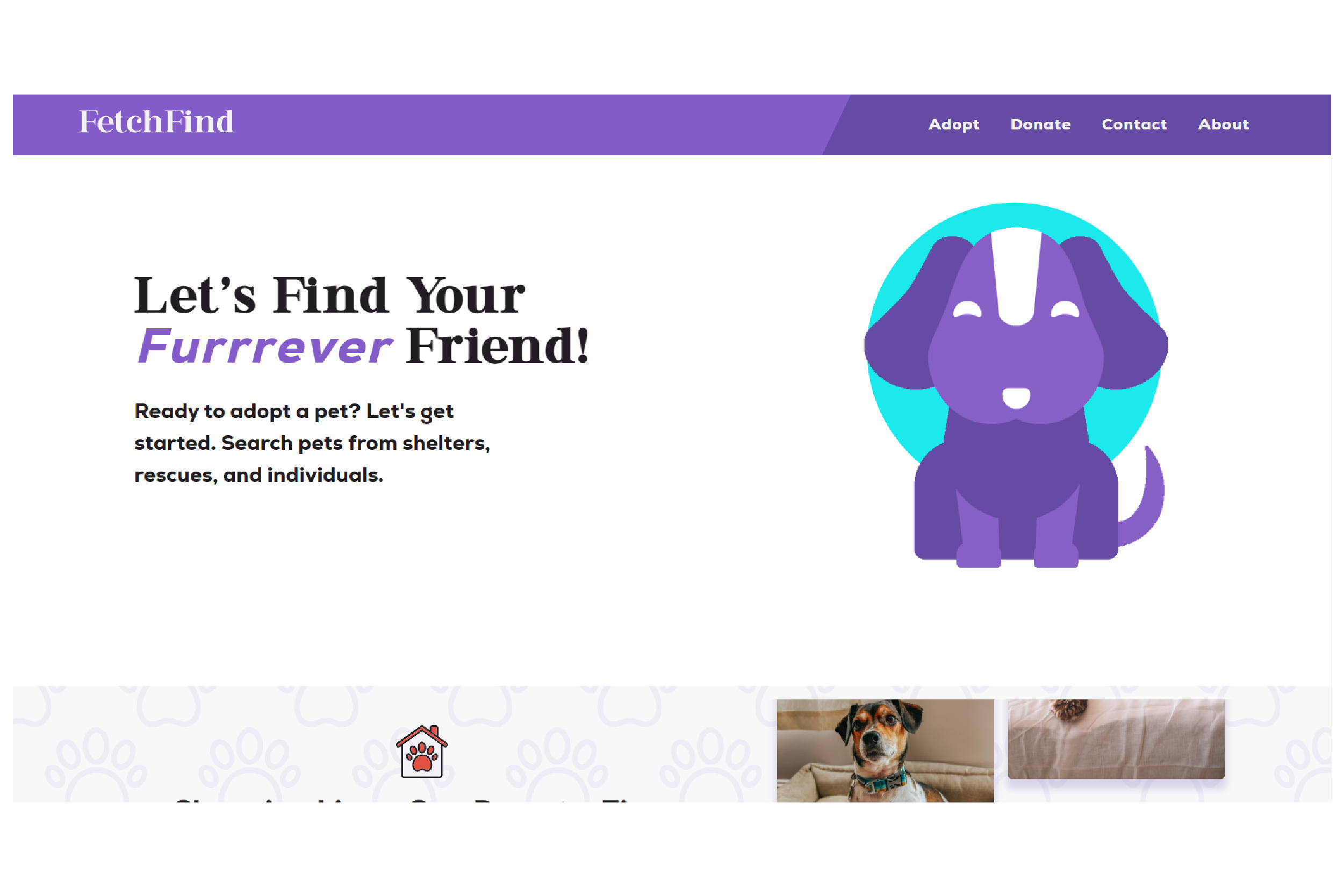 Fetch Find Project Thumbnail